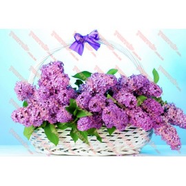 Вафельна картинка Жіноча 046